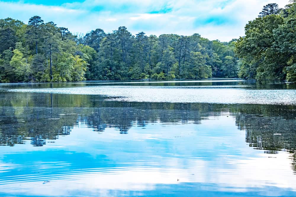 Tranquil Waters: Forest-Fringed Lake Mirrors Sky and Trees in Perfect Reflection