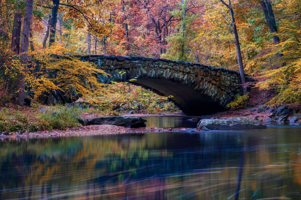 Rock Creek Park