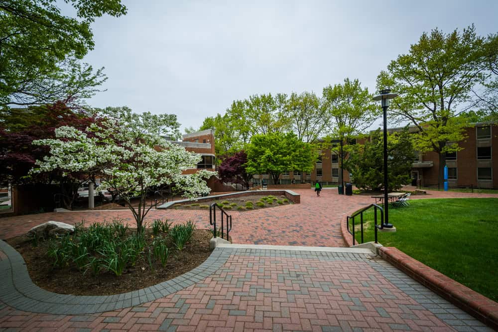Spring blooms and brick pathways at a peaceful college campus.