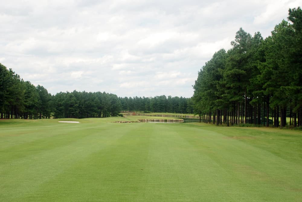 A serene fairway lined with tall pines under a cloudy sky, inviting golfers to the next challenge.