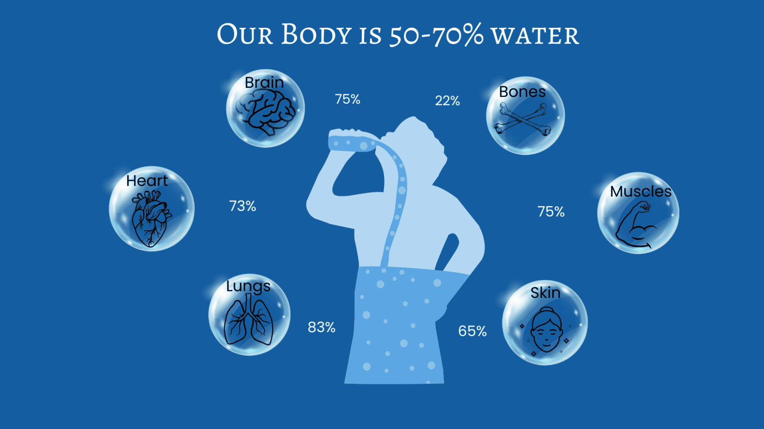 Our Body is 50-70% Water: A blue infographic showing water content in different organs - Brain (75%), Heart (73%), Lungs (83%), Bones (22%), Muscles (75%), and Skin (65%), illustrated with a silhouette drinking water in the center.
