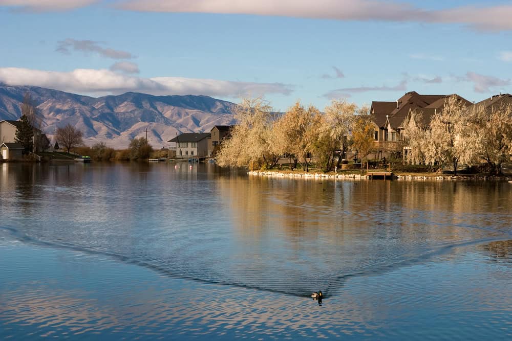 Lakeside homes nestle along calm waters beneath dramatic mountain views, while autumn trees cast golden reflections on the surface where a lone duck glides peacefully.