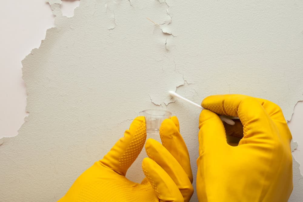 Testing for mold in a damaged wall with a cotton swab.