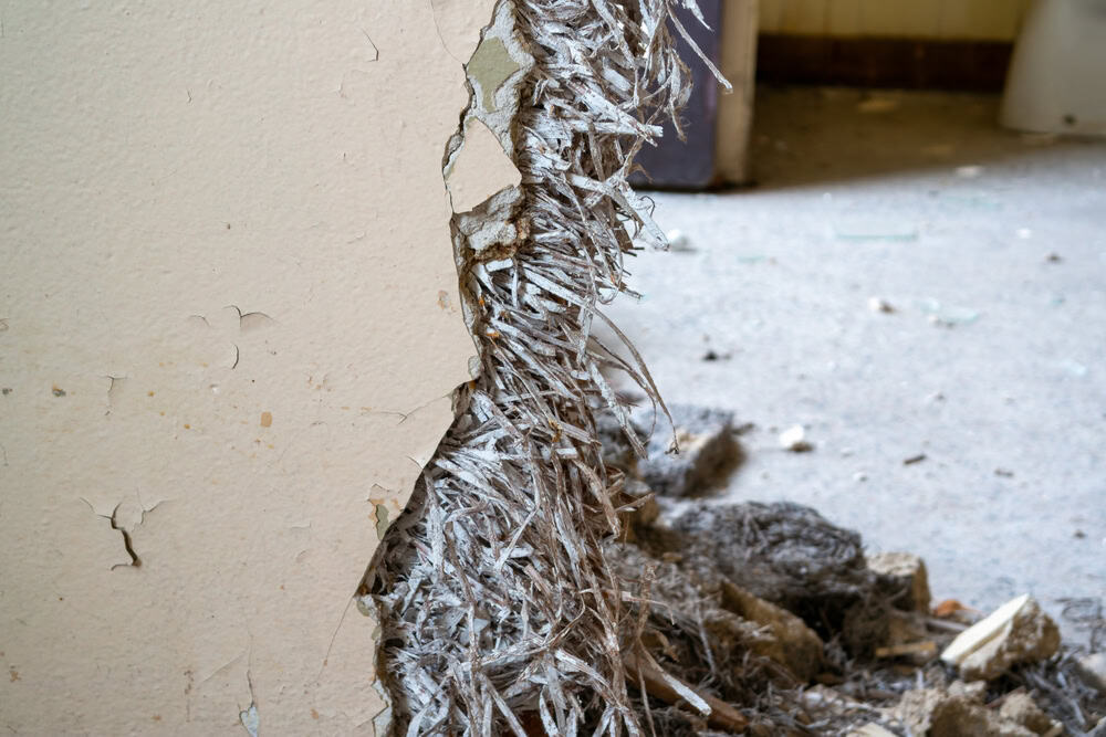 Damaged drywall revealing exposed fibrous material, likely from pest or water damage, with debris scattered on a concrete floor.