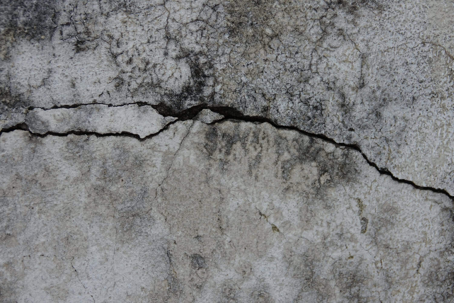 Home inspector examining a foundation crack