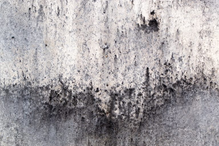 A close-up of a weathered concrete wall stained with black mold and mildew.