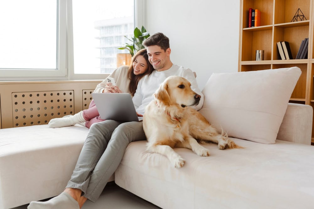 Cozy morning at home: a couple relaxes on the couch with their golden retriever, enjoying coffee and a laptop.