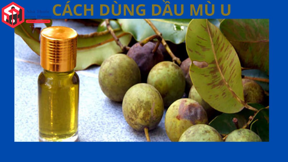 Cách dùng lá mù u tắm và đắp trị mề đay