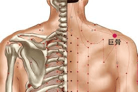 vị trí và công dụng  của huyệt cự cốt 