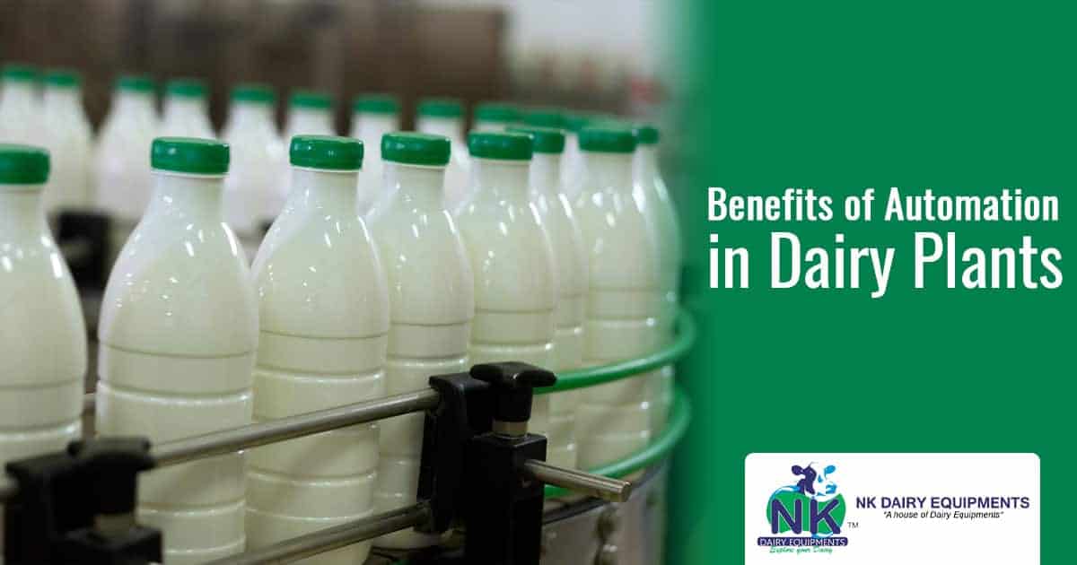 Automation in dairy plant bottles for improved efficiency and productivity.