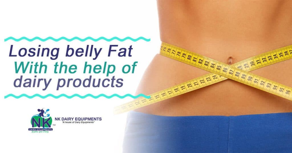 Losing belly fat with dairy products, healthy weight management using NK Dairy Equipments.