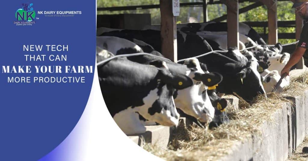 High-quality dairy farm cows feeding on NK Dairy Equipments farm feeding system.