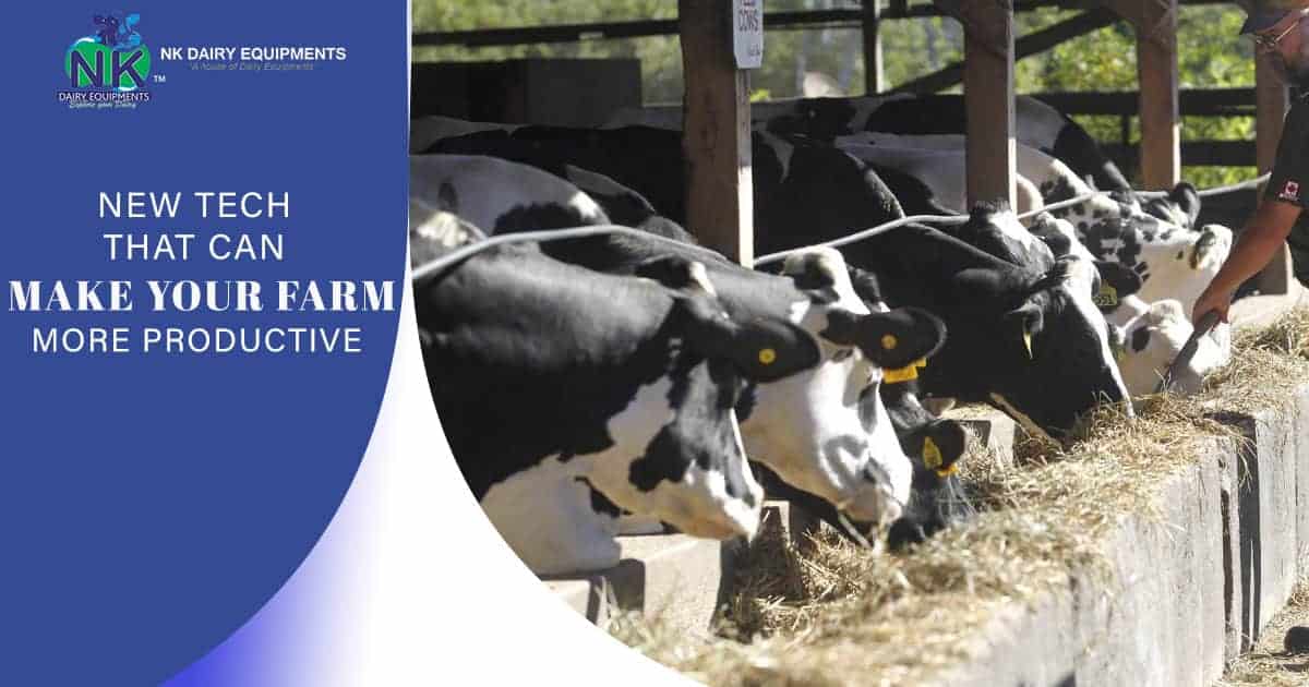 High-quality dairy farm cows feeding on NK Dairy Equipments farm feeding system.