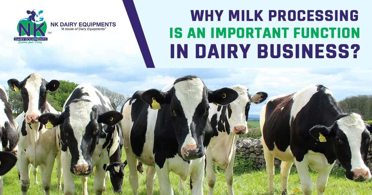 Dairy farm cows with milk processing equipment in background.