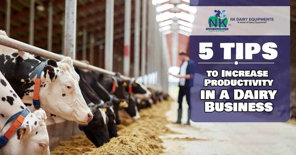 NK Dairy Equipment logo, dairy farm, cattle, modern dairy farm machinery, livestock feeding equipment, farm benefits.