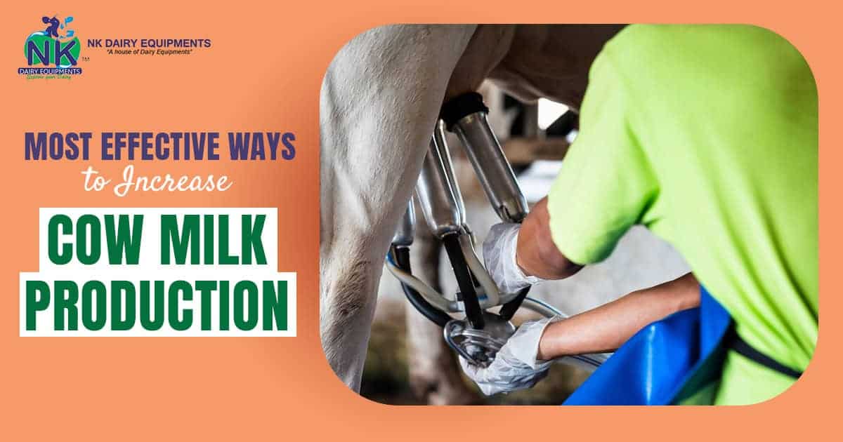 NK dairy equipment milk milking machine for increased cow milk production.