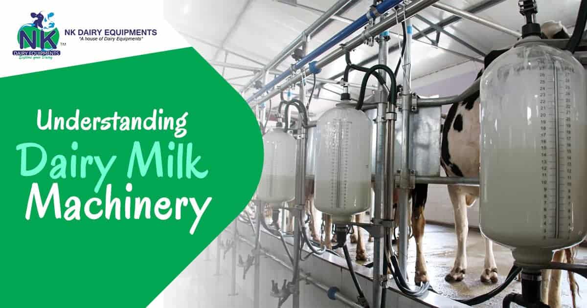 Milk dairy equipment for modern dairy farm and milk processing plants.