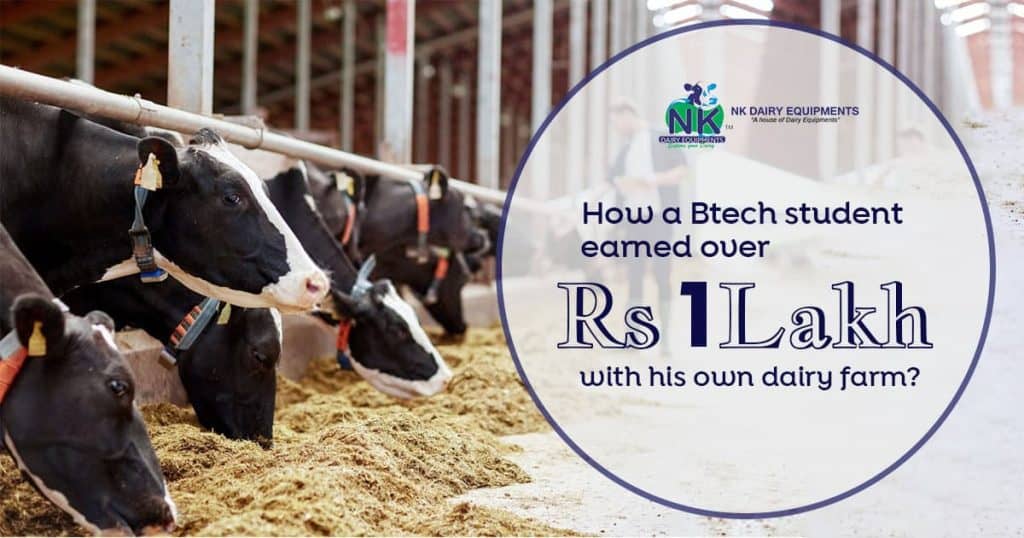 Black and white dairy cows feeding in a modern dairy farm setting.