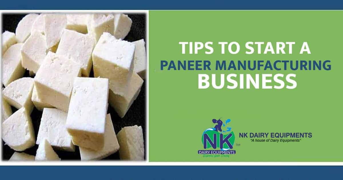 Creamy paneer cheese cubes for dairy production and Indian cuisine.