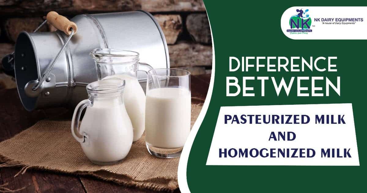 Pasteurized milk vs homogenized milk dairy equipment comparison NK Dairy Equipments.