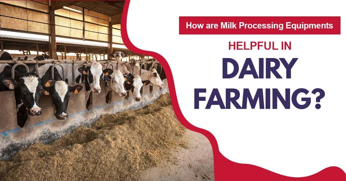 Efficient dairy farming with modern milk processing equipment from NK Dairy Equipments.