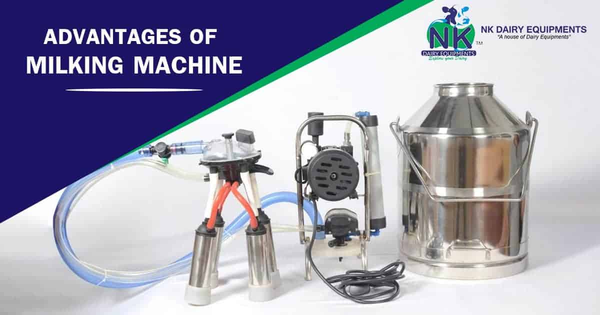 Milk processing equipment for dairy farms and cheese production at NK Dairy Equipments.