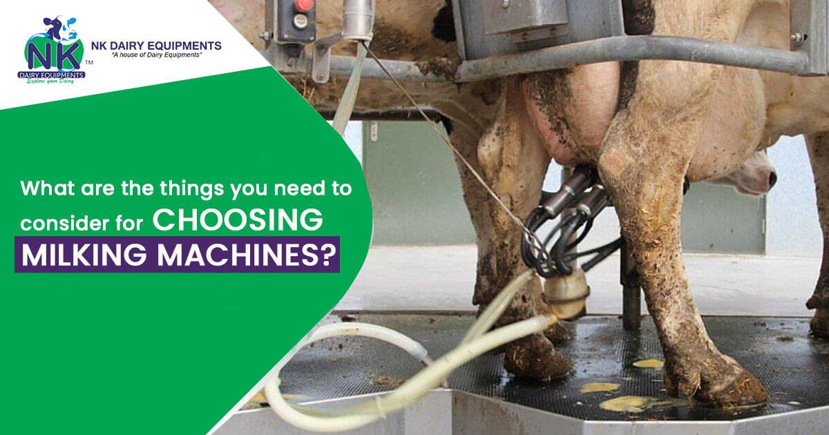 NK Dairy Equipment milking machines for efficient dairy farm management.