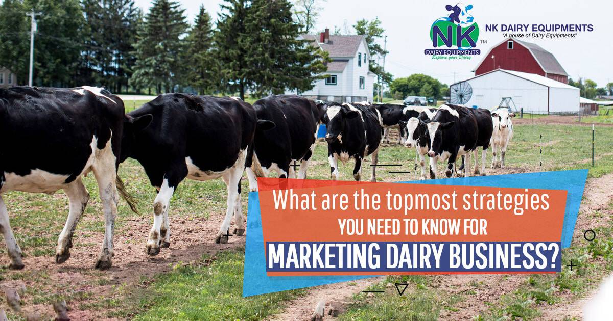 Dairy farm with cows and NK dairy equipment branding for marketing strategies.