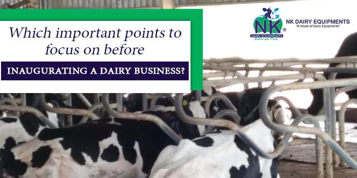 Healthy dairy cattle inside farm barn with NK Dairy Equipments logo and branding elements.
