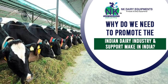 High-quality dairy farm cows grazing with NK Dairy Equipments for efficient milk production.