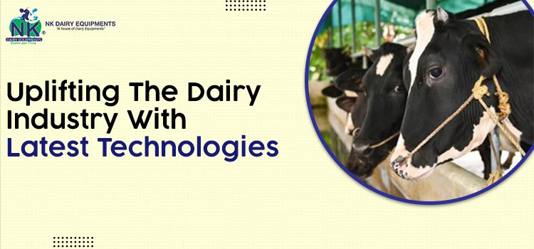 Dairy farm cows with advanced milking equipment at NK Dairy Equipments.