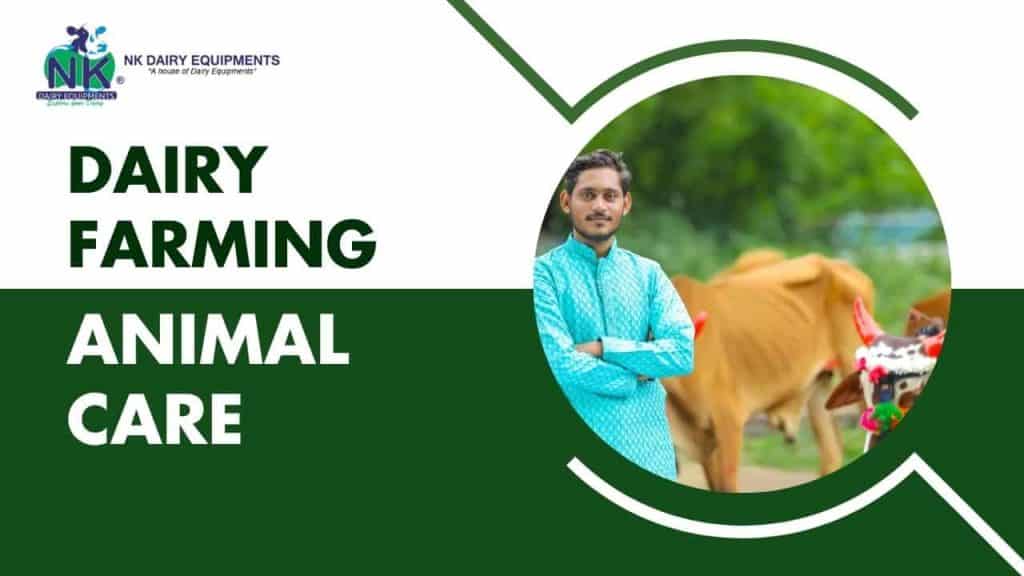 NK dairy equipment for dairy farming and animal care, reliable dairy milking machines and farm solutions.