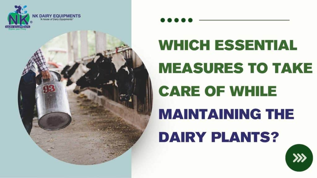 Farm worker holding milk can in dairy cattle farm, dairy equipment, milk collection, farm care, NL Milk Equipment.