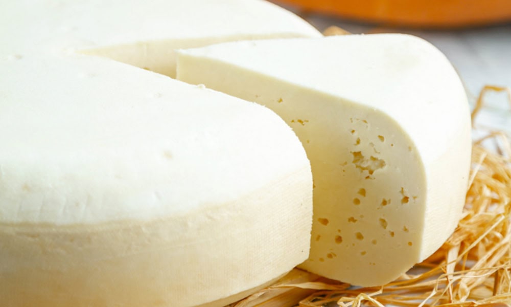Fresh cheese wheel, dairy cheese, cheese production, dairy farm equipment, milk processing equipment.