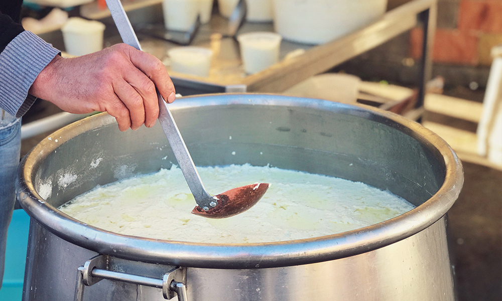 Fermentation tank with milk for dairy processing.
