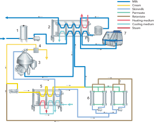 Milk processing equipment schematic diagram for dairy product manufacturing.