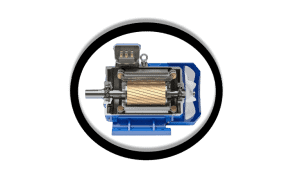 High-quality dairy milk processing machine with precision components for dairy farms.