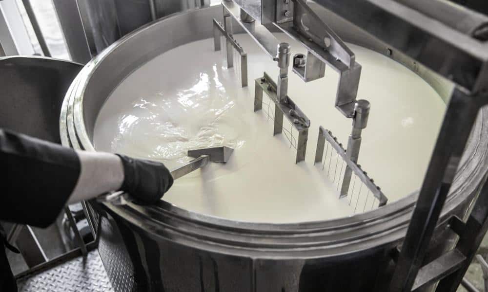 Stainless steel dairy mixing tank for milk processing and dairy farm equipment.