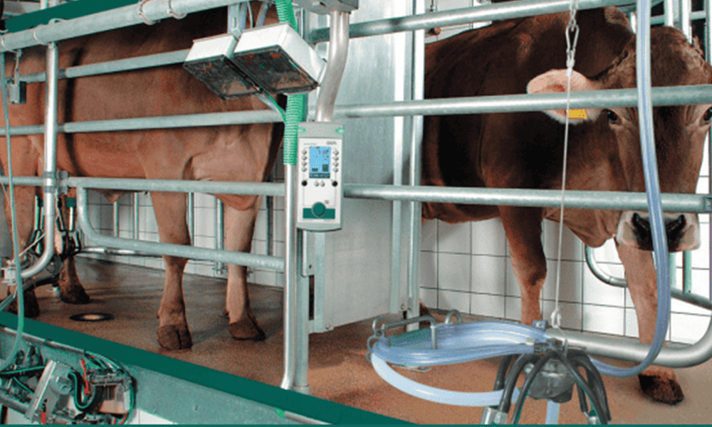 NK dairy milking equipment for efficient livestock management and dairy farm productivity.