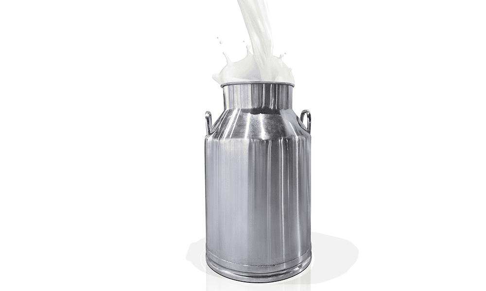 Stainless steel milk storage canister for dairy farming and milk collection.