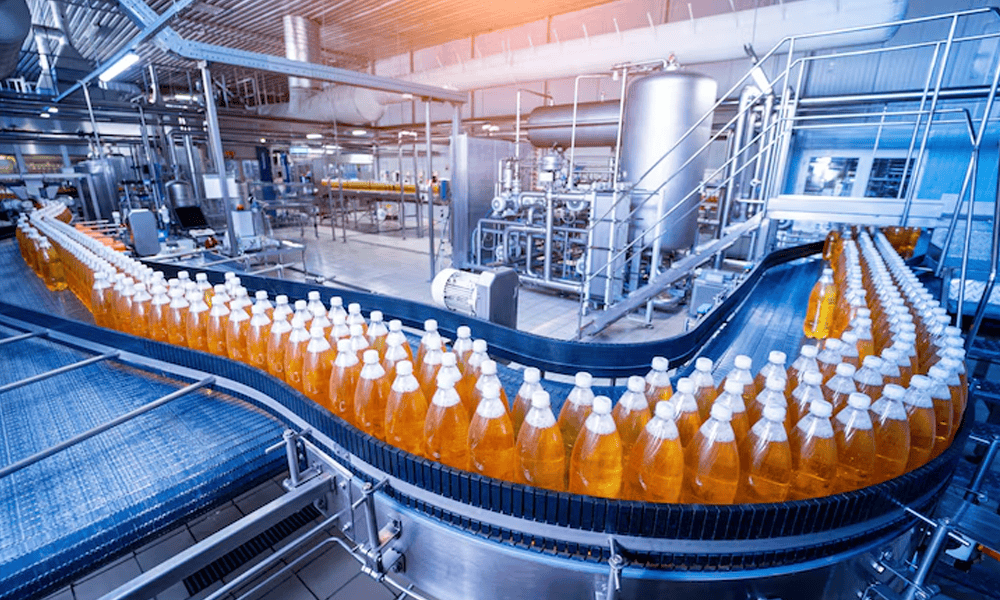 Automatic bottle filling line in dairy plant for milk and beverage packaging.