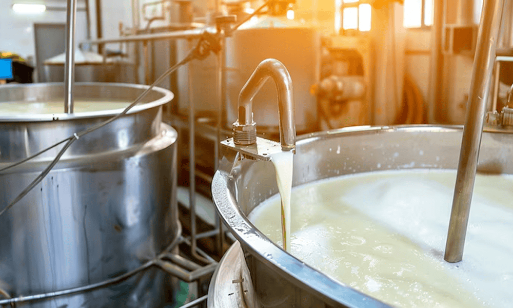 Fresh milk being collected in stainless steel dairy tank at NK Dairy Equipments.