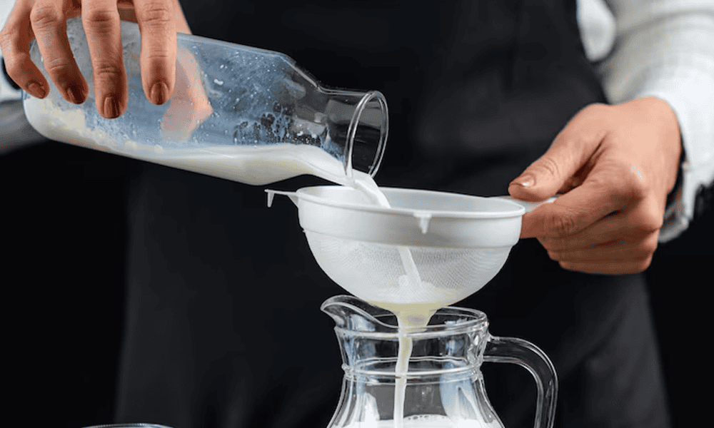 Milk being poured through a strainer into a glass jug, showcasing dairy processing equipment.