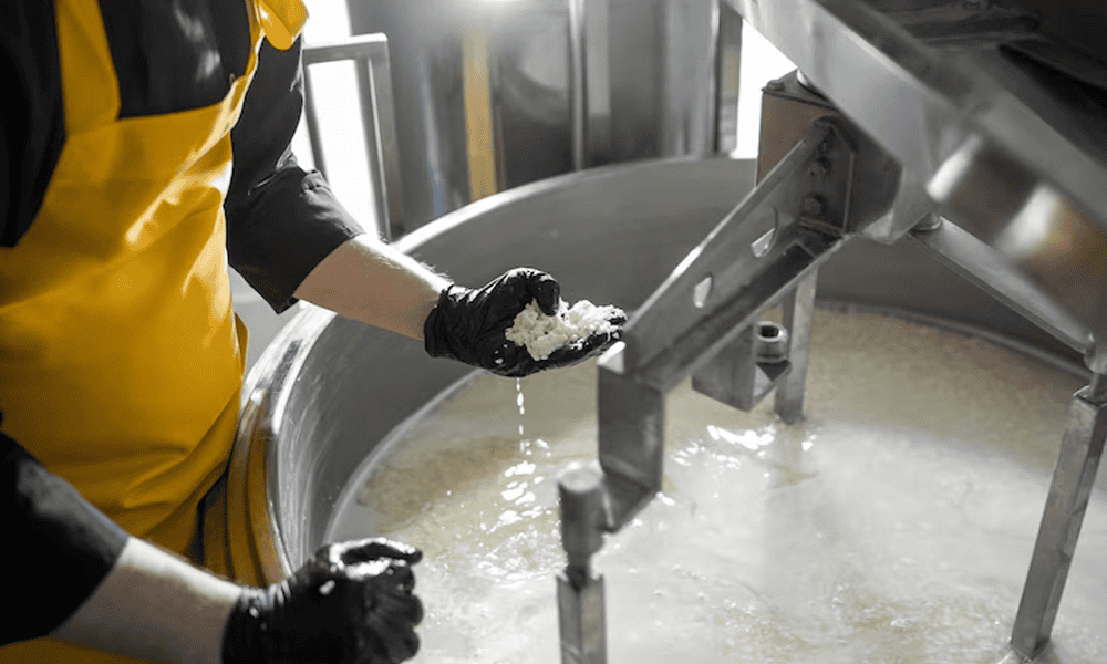 Cream cheese being prepared in a dairy processing plant, showcasing professional dairy equipment.