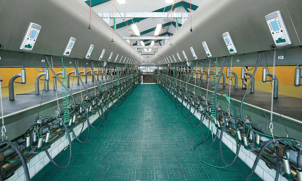 High-capacity milk collection and processing equipment at NK Dairy Equipments.