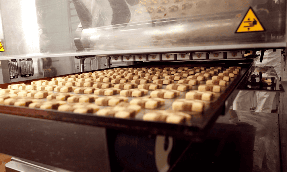 2. Automated cheese biscuit processing machine in dairy technology.