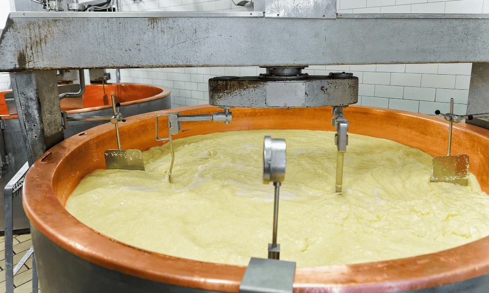 Cream separator machine for dairy processing at NK Dairy Equipments.