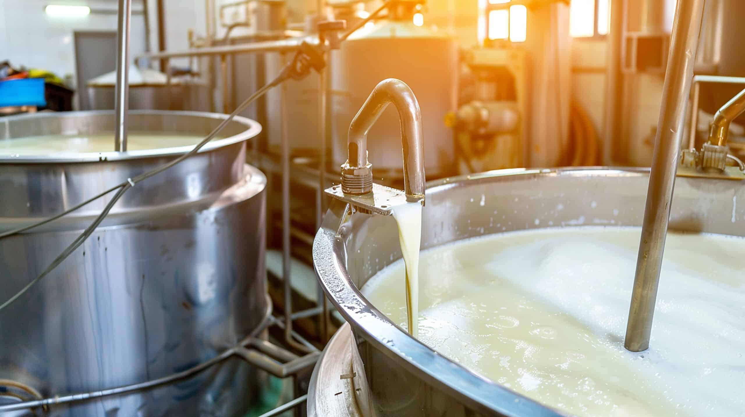 Stainless steel milk fermentation tanks used in dairy processing plants.