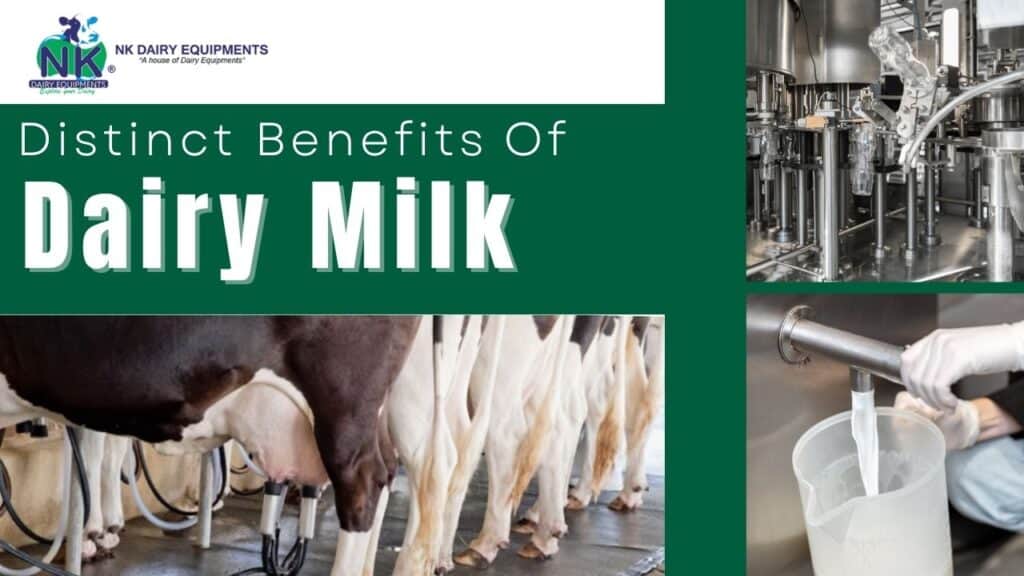 High-quality dairy farm equipment for milk production and processing.