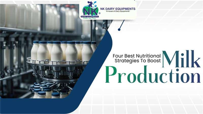 Milk bottles on conveyor in dairy processing plant, dairy equipment images from NK Dairy Equipments.